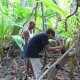 61- Chasse au kaveu 3- Romain s'entraine sous le regard du professeur 